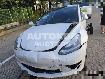 2020, Tesla / Model 3, VIN: 5YJ3E1EB3LF733521, 219204 км., electric