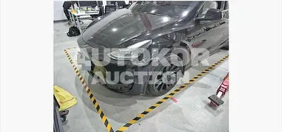 2024, Tesla / Model Y, electric, 173 куб.см.