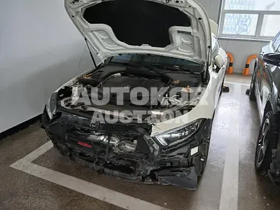 2022, Mercedes-Benz / cls450, VIN: W1K2J5KB4NA106153, 31617 км., hybrid, 2999 куб.см.