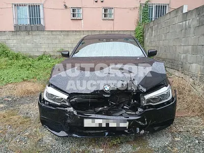 2017, BMW / 520, diesel
