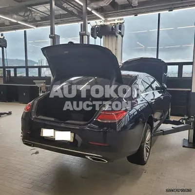 2019, Mercedes-Benz / CLS 400, VIN: WDD2J2DB0KA020426, diesel
