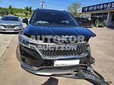 2023, Kia / Carnival, VIN: KNANE81BBPS235282, 34321 км., diesel, 2200 куб.см.
