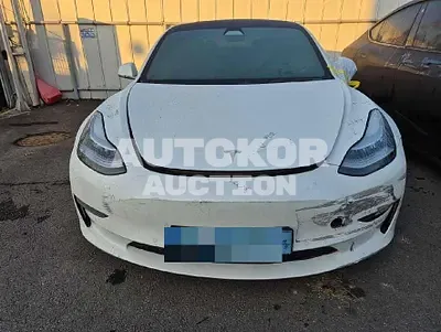 2020, Tesla / Model 3, 62000 км., electric, 225 куб.см.