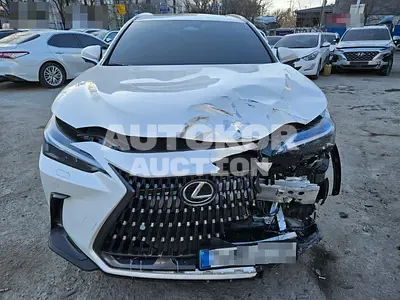 2025, Lexus / nx450h+, 8995 км., hybrid
