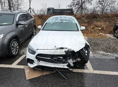2021, Mercedes-Benz / E 350, VIN: W1KZF8GB9MB000509, 25000 км., gas