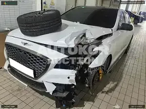 2017, Genesis / G80, VIN: KMHGN41BDHU200977, gas
