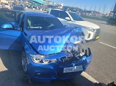 2017, BMW / 320, VIN: WBA8A9109HK822926, gas