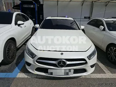 2019, Mercedes-Benz / CLS 400, 265854 км., diesel