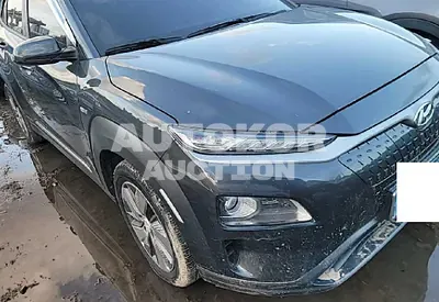 2019, Hyundai / Kona, VIN: KMHK381GFKU017174, electric