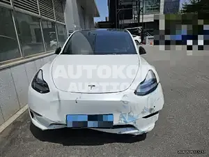 2021, Tesla / Model Y, 66000 км., electric