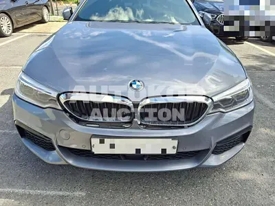 2018, BMW / 530i, 91647 км., gas, 1998 куб.см.