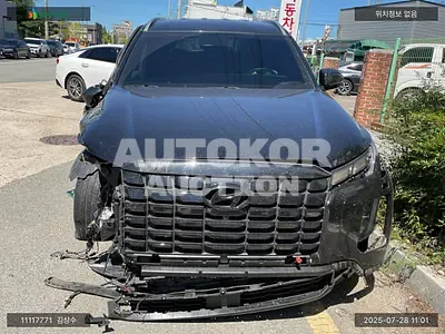 2024, Hyundai / Palisade, VIN: KMHR381EBRU749940, 19412 км., gas, 3778 куб.см.