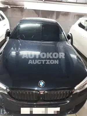 2019, BMW / 520, VIN: WBAJF5100KWW39765, 46042 км., diesel