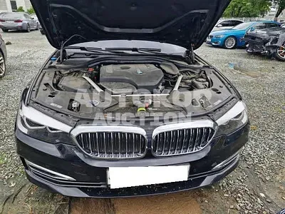 2019, BMW / 520, VIN: WBAJK710XKBP75125, 57843 км., gas