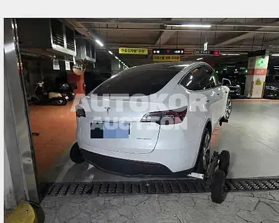 2023, Tesla / Model Y, 85000 км., electric, 236 куб.см.