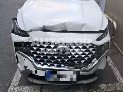 2020, Hyundai / Santa FE, 202684 км., diesel, 2200 куб.см.