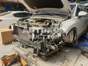 2019, Hyundai / Santa FE, VIN: KMHS381BBKU149281, diesel