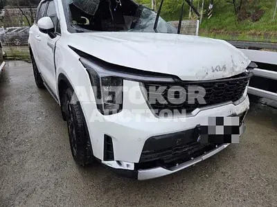 2024, Kia / Sorento, gas, 2497 куб.см.