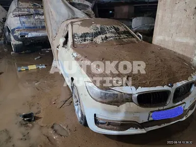 2016, BMW / 320, VIN: WBA8Y7108GG395496, 83585 км., diesel