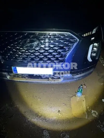 2020, Hyundai / Palisade, VIN: KMHR581EDMU230025, 77121 км., gas