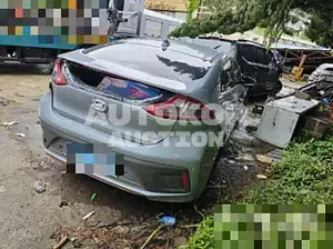 2018, Hyundai / Ioniq, electric