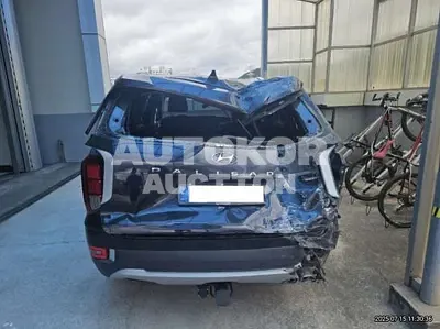 2020, Hyundai / Palisade, VIN: KMHR381ADLU138838, 172127 км., diesel, 2200 куб.см.