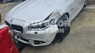 2016, BMW / 520, 142254 км., diesel, 1995 куб.см.