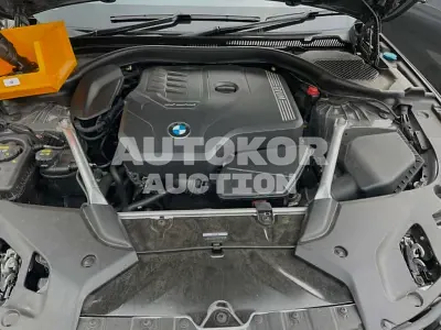 2022, BMW / 530, VIN: WBA31BJ04NCJ05194, gas