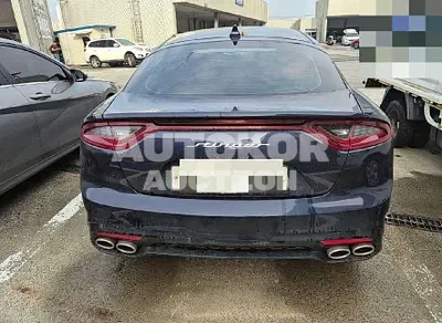 2019, Kia / Stinger, 77284 км., gas, 1998 куб.см.