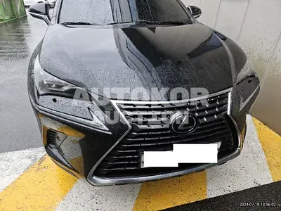 2020, Lexus / nx300h, VIN: JTJDJRDZ4L2127397, 35885 км., hybrid