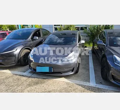 2020, Tesla / Model 3, 51591 км., electric