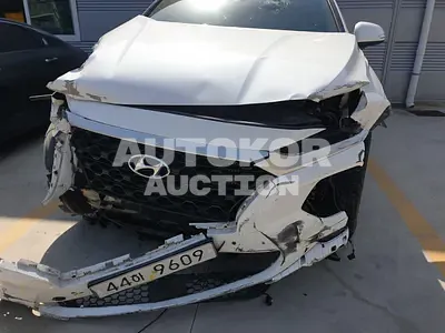2019, Hyundai / Santa FE, VIN: KMHS281BBKU074285, 64635 км., diesel