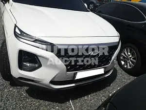 2019, Hyundai / Santa FE, VIN: KMHS381ABKU176707, 24423 км., gas