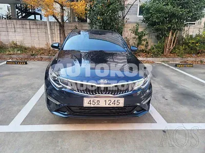 2019, Kia / K5, VIN: KNAGS416BKA279070, 75061 км., lpg
