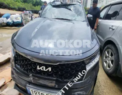 2022, Kia / Sorento, VIN: KNARF81BGNA136297, diesel