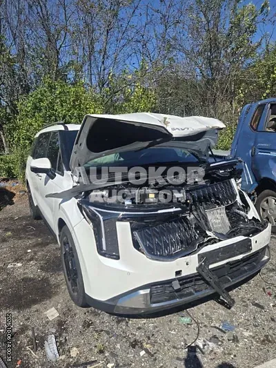 2024, Kia / Carnival, 45000 км., hybrid, 1600 куб.см.