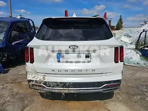 2020, Kia / Sorento, VIN: KNARF81BGMA054525, 110000 км., diesel, 2200 куб.см.