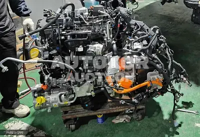 2025, Hyundai / Palisade, VIN: KMHRK81ADTU016209, unknown