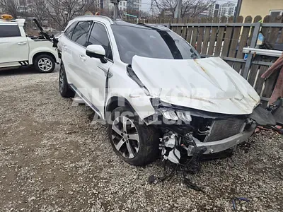 2021, Kia / Sorento, VIN: KNARF81FGMA114147, 89416 км., gas, 2497 куб.см.