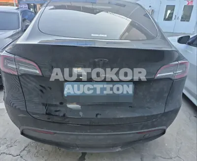 2024, Tesla / Model Y, electric