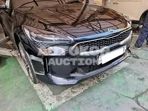 2018, Kia / Stinger, VIN: KNAE351ADKS045258, gas