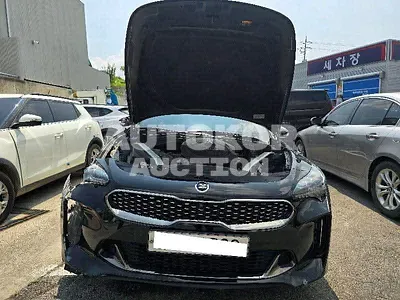 2017, Kia / Stinger, VIN: KNAE351ABJS000606, gas
