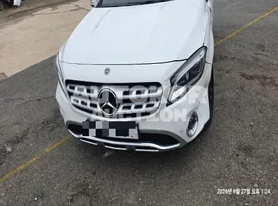 2019, Mercedes-Benz / gla, 131665 км., gas