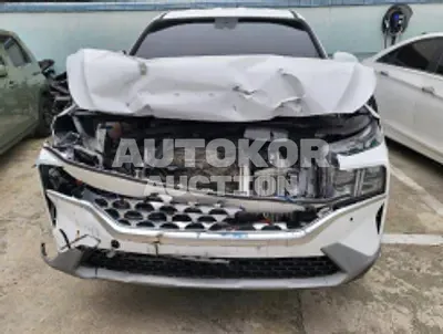 2021, Hyundai / Santa FE, VIN: KMHS281HGMU352123, 111925 км., diesel