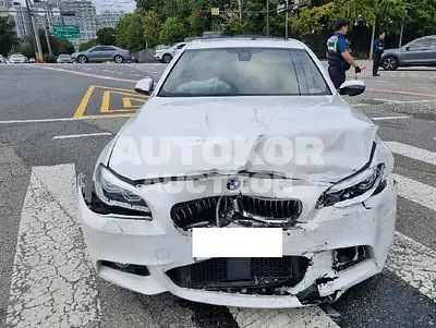2016, BMW / 520, VIN: WBA5E5109GG202319, 68868 км., diesel