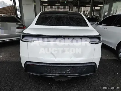 2026, Tesla / Model Y, 22000 км., electric