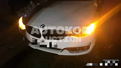 2017, BMW / 320, 110933 км., diesel