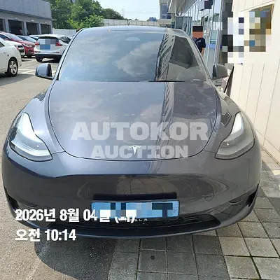 2025, Tesla / Model Y, electric, 173 куб.см.