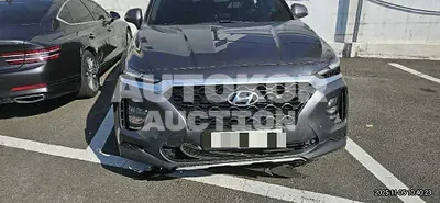2019, Hyundai / Santa FE, 113317 км., gas, 2000 куб.см.