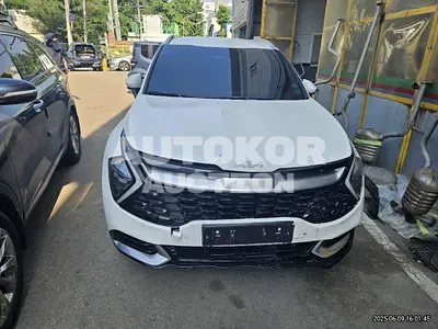2024, Kia / Sportage, 5329 км., hybrid, 1600 куб.см.